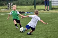 Brylanty-202420240616_094839