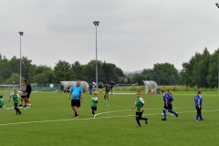 Brylanty-2024DSC_0831