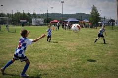 Brylanty z Gdowa (107)