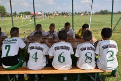 Brylanty z Gdowa (117)