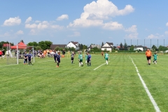 Brylanty z Gdowa (121)