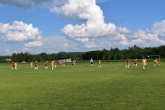 Brylanty z Gdowa (30)