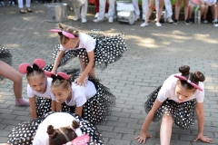 Brylanty z Gdowa (81)