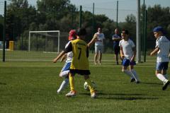 IMG_7319-Copy