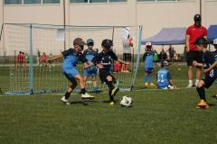 IMG_7336-Copy