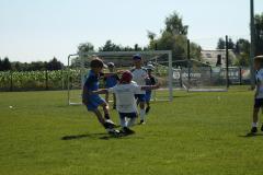 IMG_7346-Copy