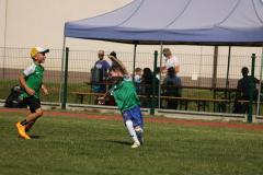 IMG_7381-Copy