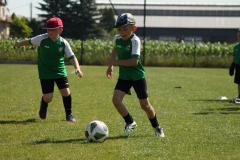 IMG_7420-Copy