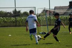 IMG_7437-Copy