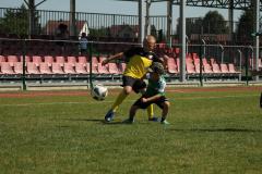 IMG_7442-Copy