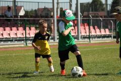 IMG_7450-Copy