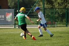 IMG_7462-Copy