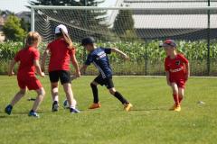 IMG_7471-Copy
