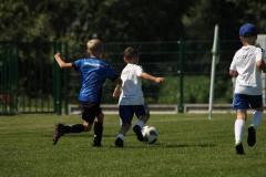 IMG_7487-Copy