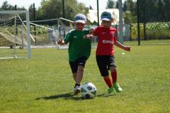 IMG_7495-Copy