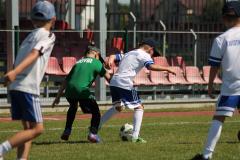 IMG_7503-Copy