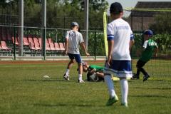 IMG_7507-Copy