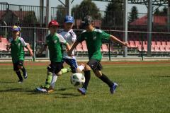 IMG_7508-Copy