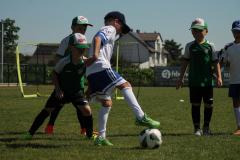 IMG_7515-Copy