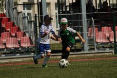 IMG_7516-Copy