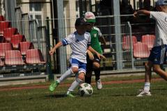 IMG_7517-Copy