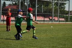 IMG_7533-Copy