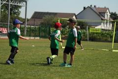 IMG_7534-Copy