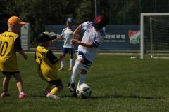 IMG_7545-Copy