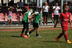 IMG_7553-Copy