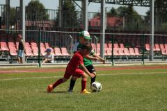IMG_7560-Copy