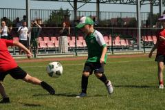 IMG_7562-Copy