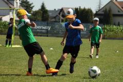 IMG_7571-Copy