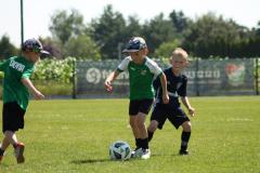 IMG_7573-Copy