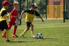 IMG_7586-Copy