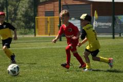 IMG_7588-Copy