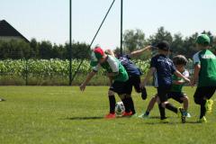 IMG_7595-Copy