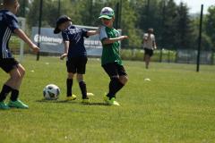 IMG_7597-Copy