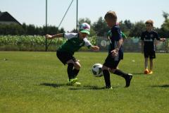 IMG_7599-Copy