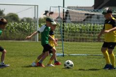 IMG_7608-Copy