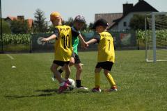 IMG_7614-Copy