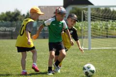 IMG_7615-Copy