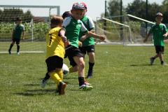 IMG_7616-Copy