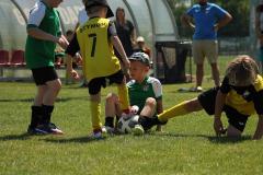 IMG_7617-Copy