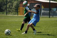 IMG_7624-Copy
