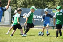 IMG_7625-Copy