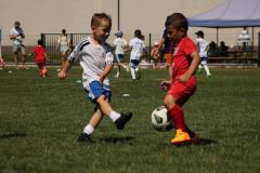 IMG_7630-Copy