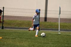 IMG_7631-Copy
