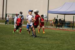 IMG_7633-Copy