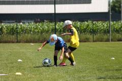 IMG_7640-Copy