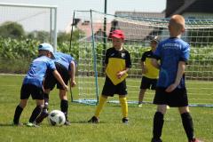 IMG_7642-Copy